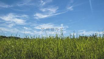 大地图片大全,探索自然奇观与人文景观的视觉盛宴