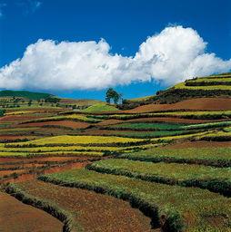 大地图片大全,探索自然奇观与人文景观的视觉盛宴