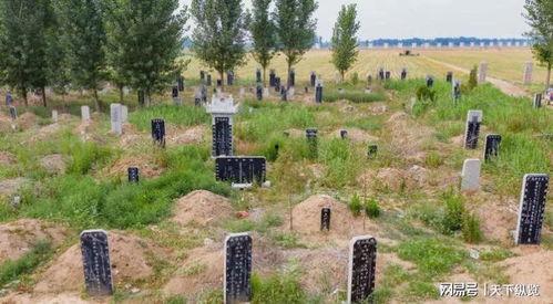 农村墓地图片,静谧与历史的交融