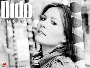 dido资料,音乐传奇与情感旅程的交织