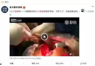 黄鳝女主播在线,网络直播界的另类传奇